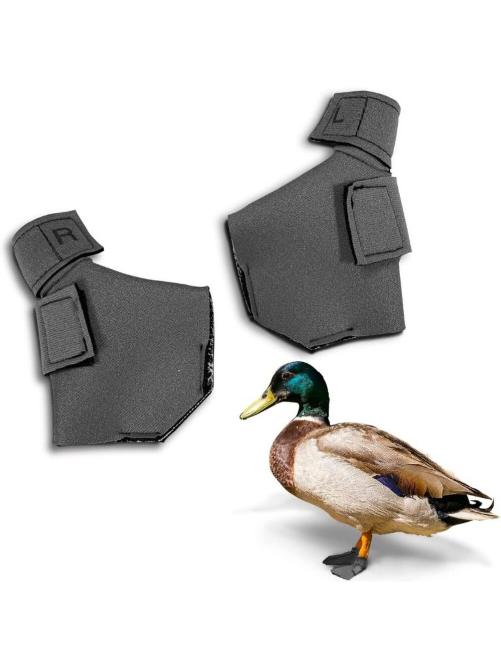 Protective Neoprene Duck Shoes for Injured Feet - Bumblefoot Relief, Large Size